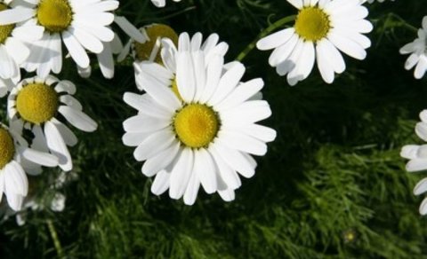 Ljósmynd: Ásdís Birta Árnadóttir