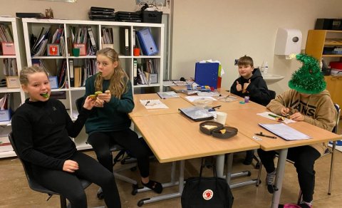 Mynd fengin að láni frá www.hofdaskoli.is