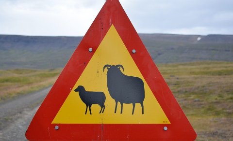 Gangnaseðill í Spákonufellsborg 2019