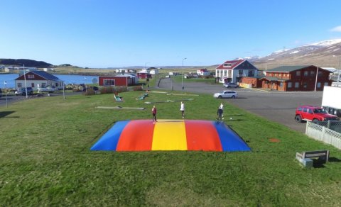 Ærslabelgur kominn úr vetrardvala