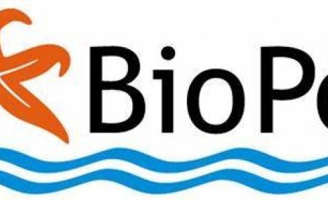 Atvinna - Starfsmaður á rannsóknastofu BioPol