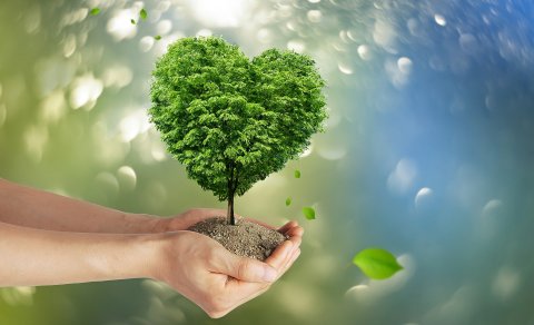 Sveitarfélagið hlýtur 5 milljón króna styrk úr Orkusjóði