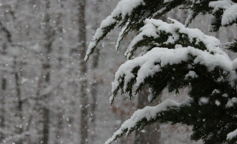 Skrifstofa lokuð eftir hádegi 16. desember