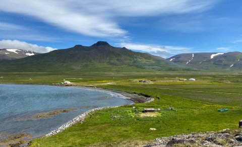 Plokkdagurinn 30. apríl 2023