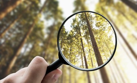 Lokað á skrifstofu sveitarfélagsins fimmtudaginn 13. apríl 2023