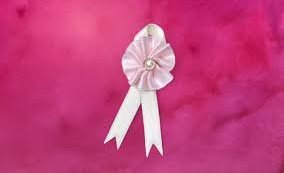 Bleik messa í Hólaneskirkju