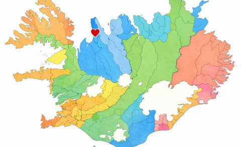 Auglýsum eftir listamanni!