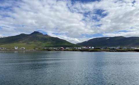 Sveitarstjórnakosningar 2026 - framboðslistar