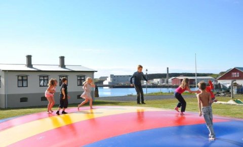 Ærslabelgur vaknar úr vetrardvala