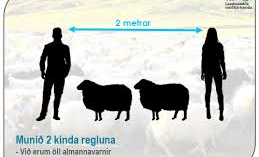 Spákonufellsrétt 2020