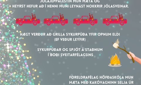 Kveikt á jólatrénu á Hnappstaðatúni