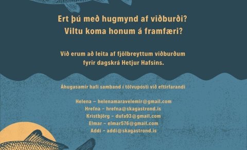 Hetjur hafsins - ert þú með hugmynd að viðburði?
