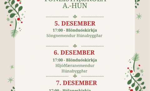 Jólatónleikar Tónlistarskóla A-Hún
