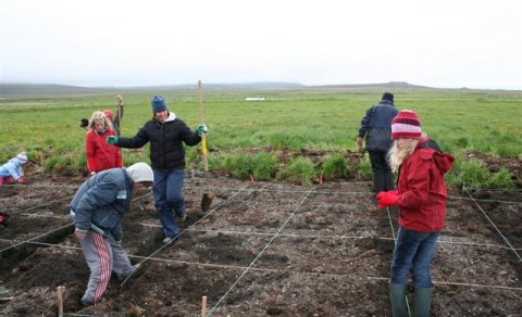 Kofasmíði/skólagarðar/leikja og íþóttanámskeið