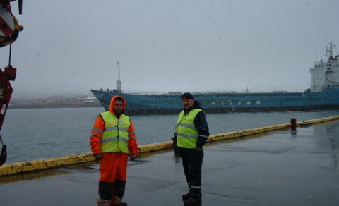 Wilson Mango í Skagastandarhöfn