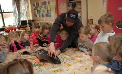 Hnísukálfurinn Sævar fer í leikskóla