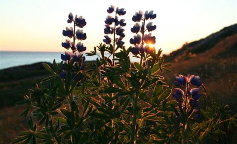 Verðlaun í ljósmyndasamkeppninni