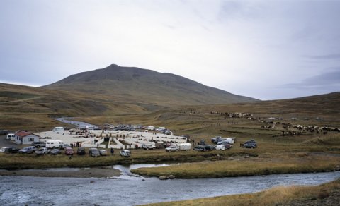 Ævintýrið Skrapatungurétt 2008