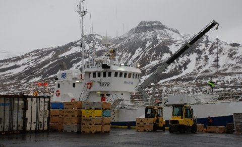 Fiskur - fiskur - fiskur