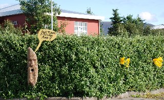 Kántrýdagar að hefjast í sól og yl