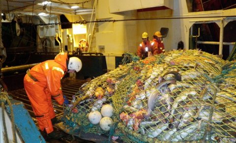 Aflaverðmæti Arnars meira en allt síðasta ár