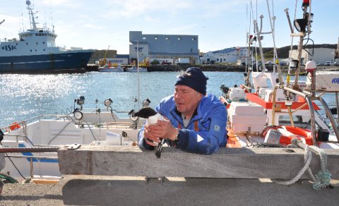 Allt að þrjátíu bátar leggja upp á Skagaströnd