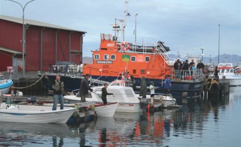 Makríll óð í Skagastrandarhöfn