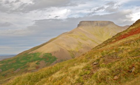 Spáð er frábæru veðri í Þórdísargöngu