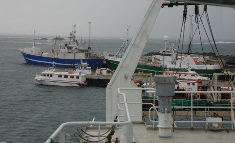 26 skip í Skagastrandarhöfn