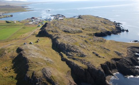 Mikil fjölgun gesta í Spákonufellshöfða