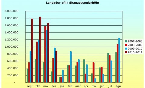 Enn  metafli á Skagaströnd