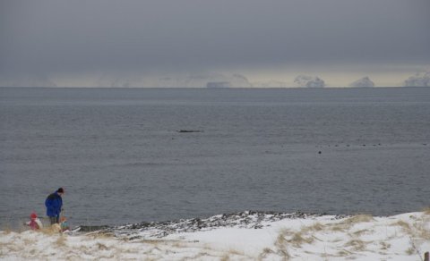 Áskorun um bætta umgengni og frágang