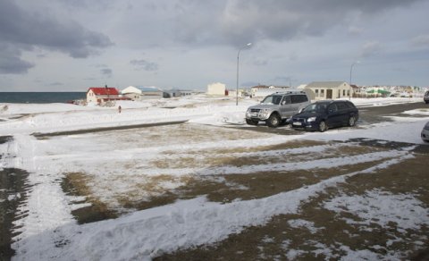 Brunahaninn galar ...