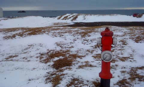 Brunahaninn hefur ekki forspárgildi