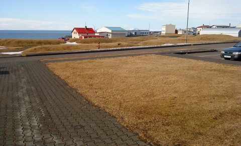 Vorið kom í morgun