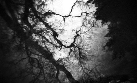 Ljósmyndasýning í Kaffi Bjarmanesi