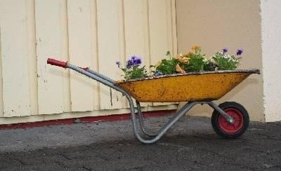 Opið hús fimmtudag og föstudag