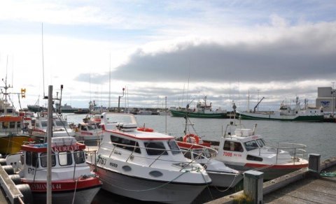 Landburður af fiski á Skagaströnd