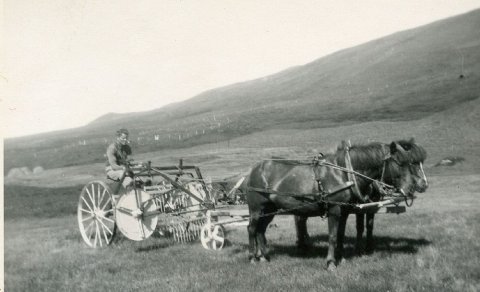 Mynd vikunnar: Heyskapur