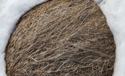 Ljósmyndasýning í Bjarmanesi