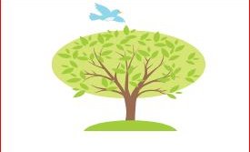 Gróðursetning trjáplantna