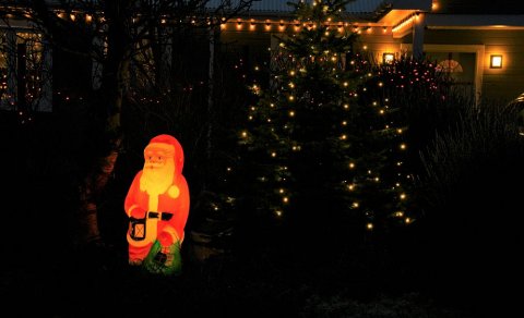 Mynd vikunnar- Gleðileg jól!