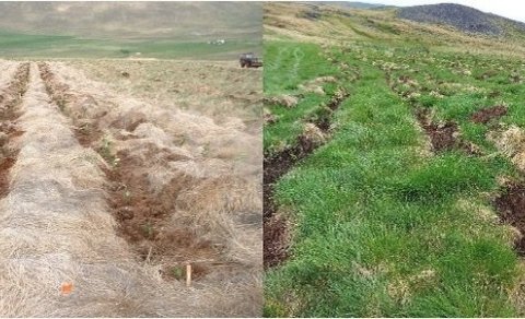 Jarðvinnsla í Spákonufelli 2022