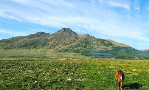 Óskað eftir flokkstjórum vegna vinnuskóla