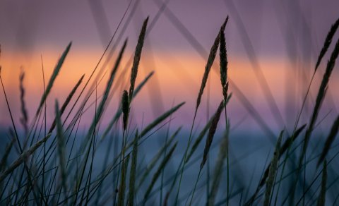 Umhverfisviðurkenning Skagastrandar 2019