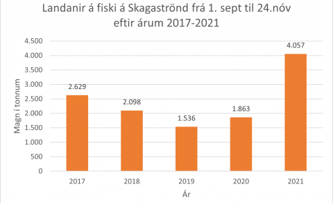 Góð aflabrög og aukin umsvif um Skagastrandarhöfn gleðja Skagstrendinga