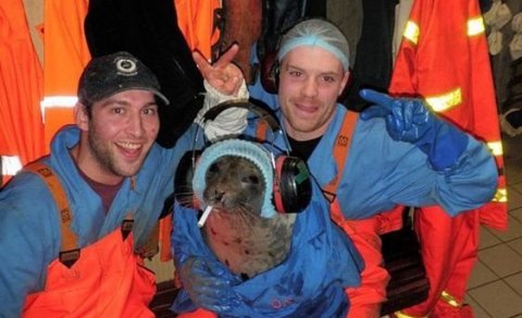 Ljósmynd: Arnar HU 1 - safn