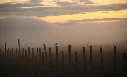 Ljósmynd: Árni Geir Ingvarsson