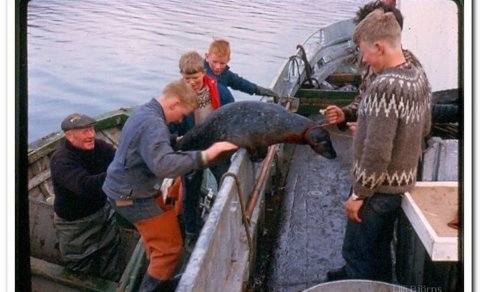 Ljósmynd: Þórarinn Björnsson