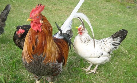 Ljósmynd: Árni Geir Ingvarsson